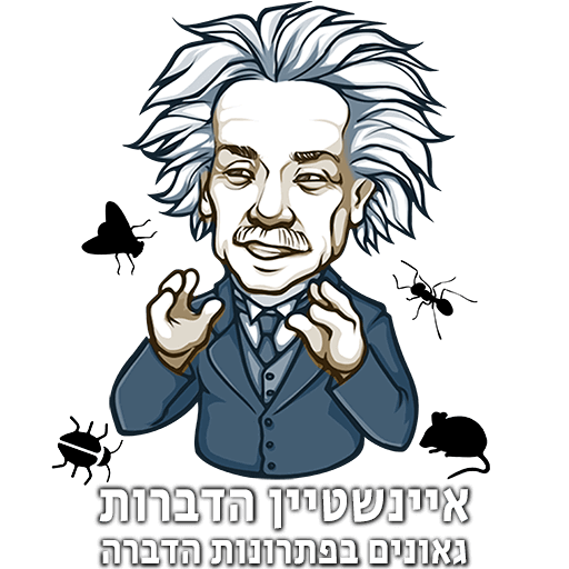 איינשטיין הדברות